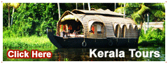 Kerala Tour